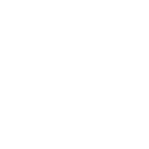Mad Netter Logo (1)